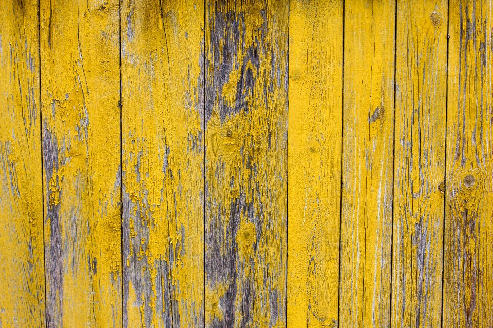 Wood background old photo