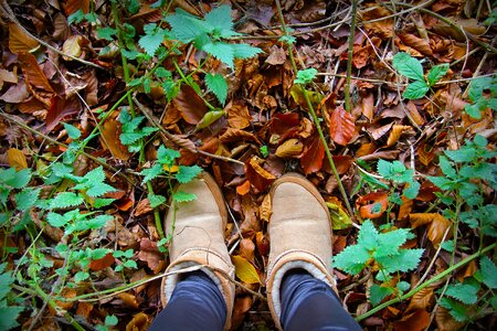 Nature outdoors shoe