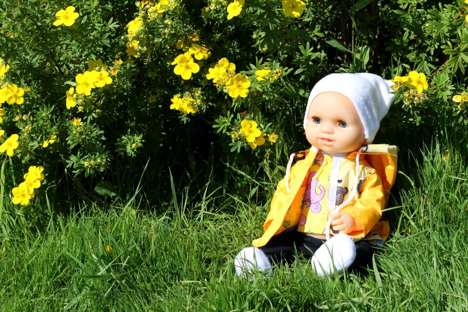 Flowers posture grass