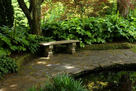 Park nature green