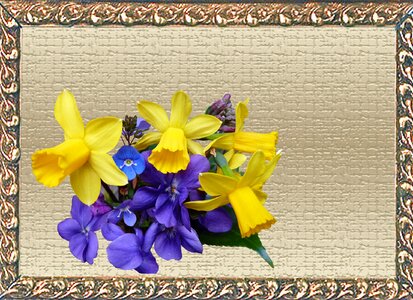 Spring flowers frame