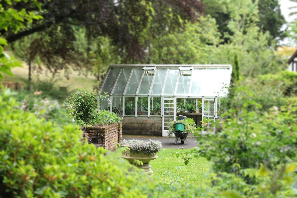 Park nature green