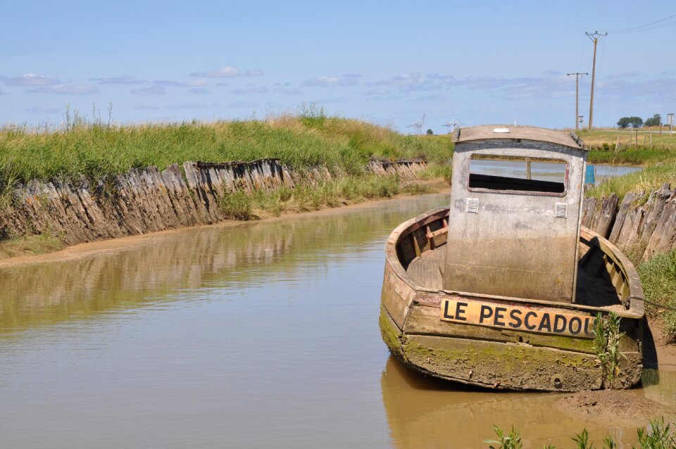 Gironde france marsh