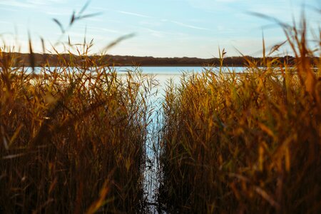 Path lake water
