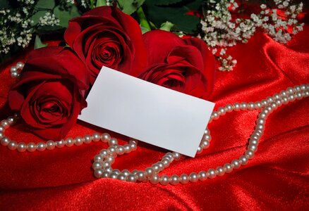 Background flower shining