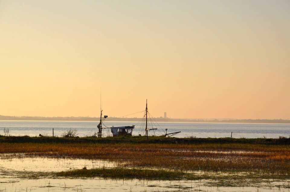 Gironde france marsh