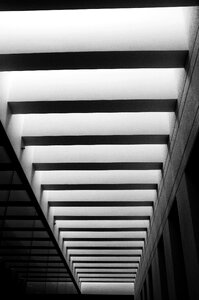 Infrastructure black and white ceiling photo