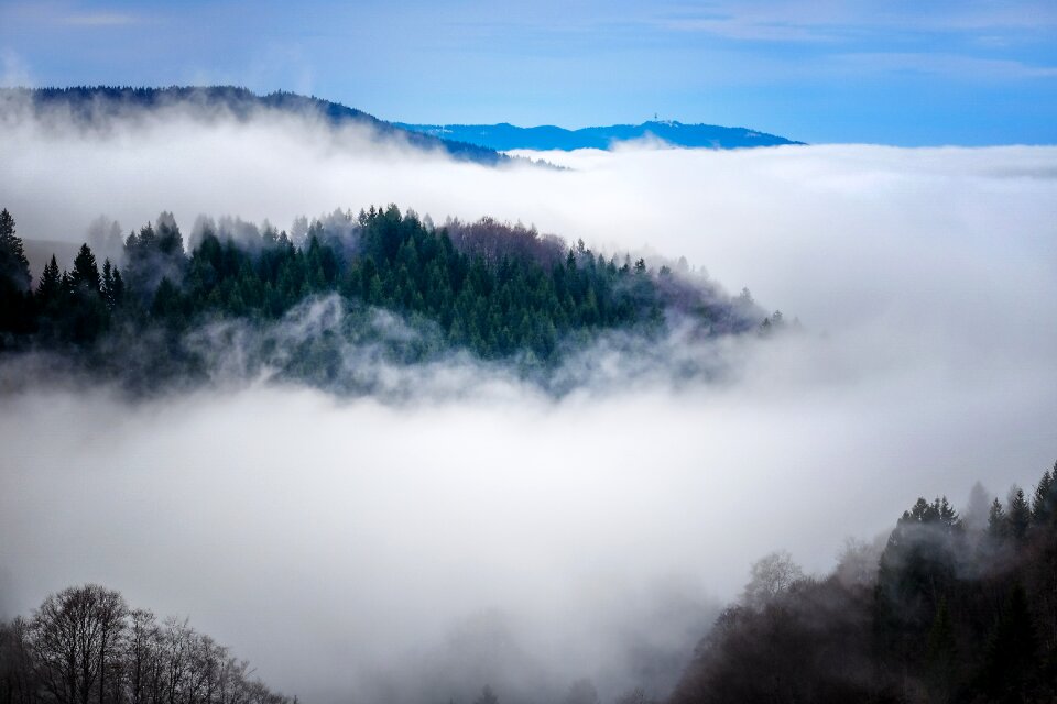 Atmospheric mysterious dramatic