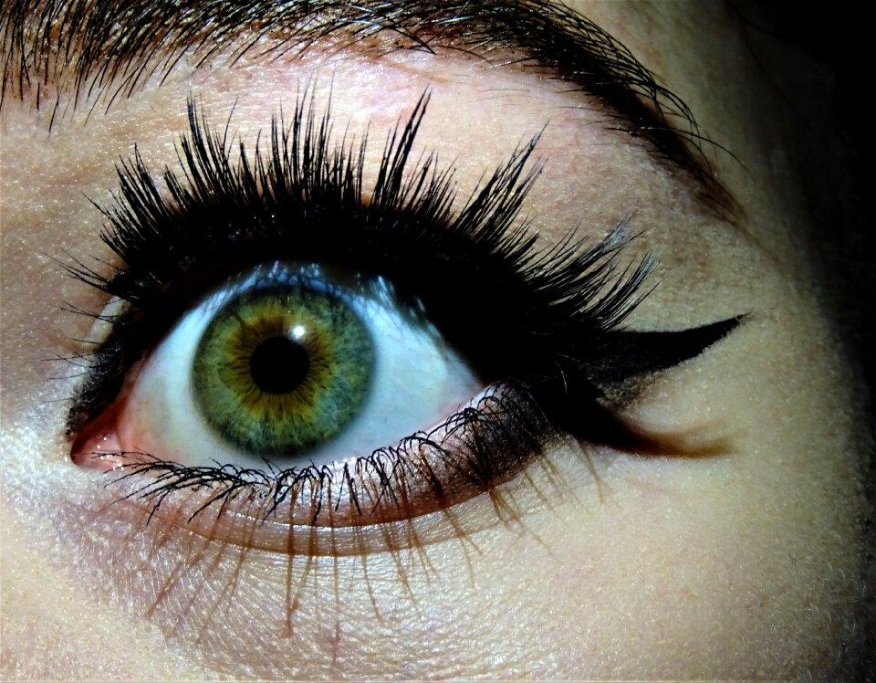 Eyeball eyelash vision