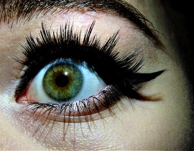 Eyeball eyelash vision