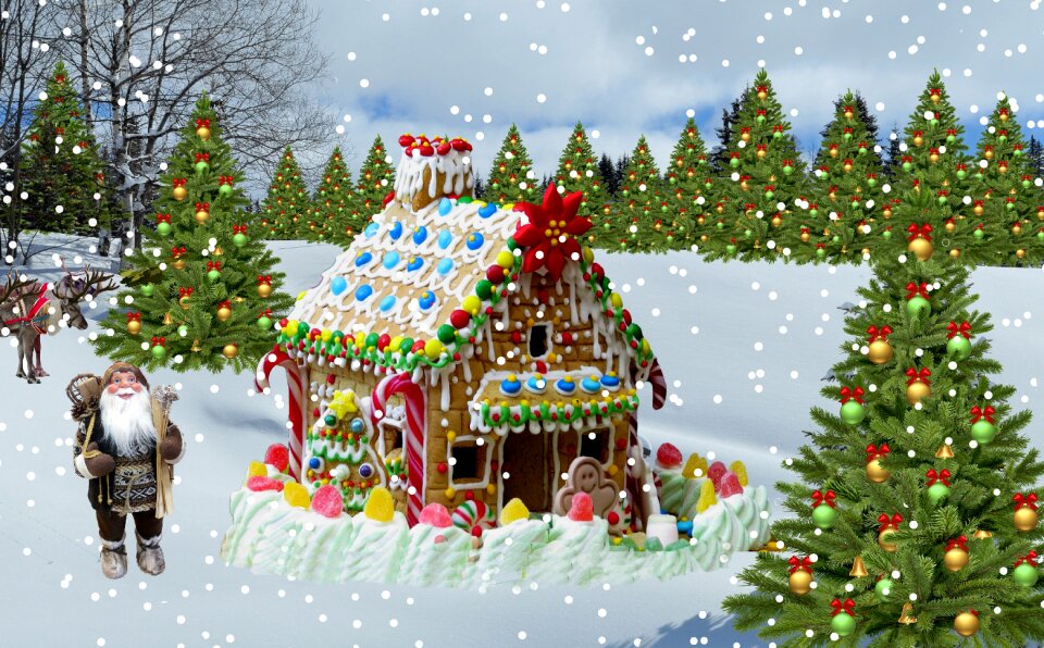 The winter christmas card winter