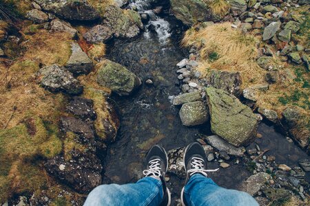 Rocks shoes feed