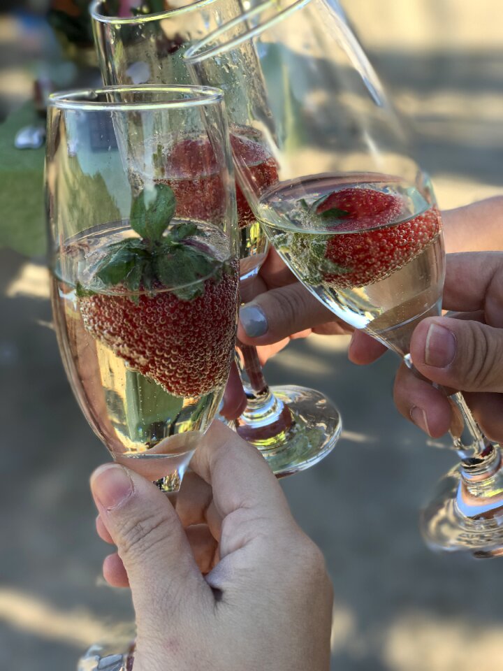 Wine travel celebrate