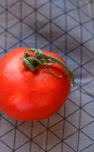 Tomato fresh vegetarian photo