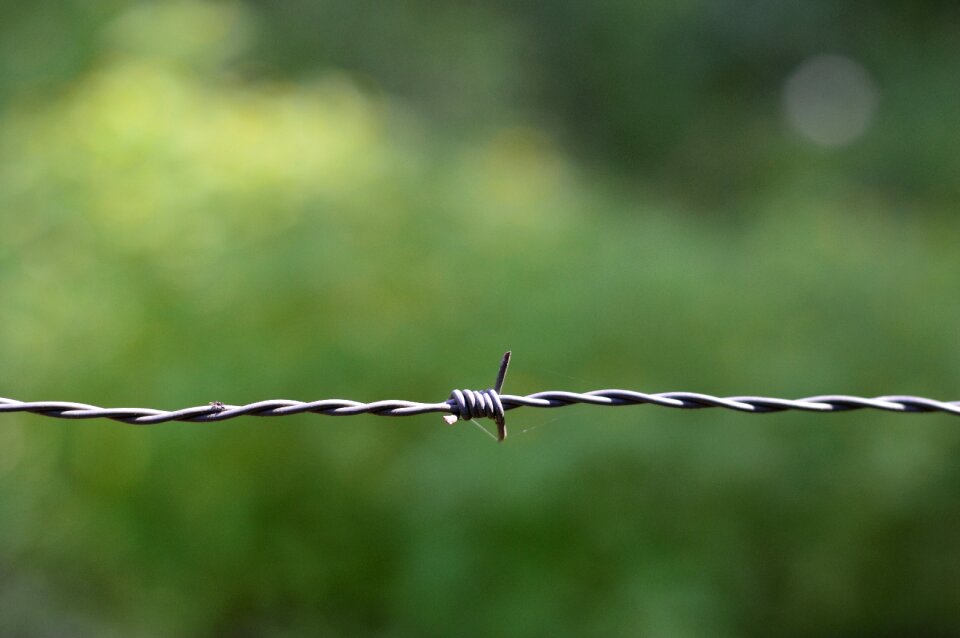 Steel cable close