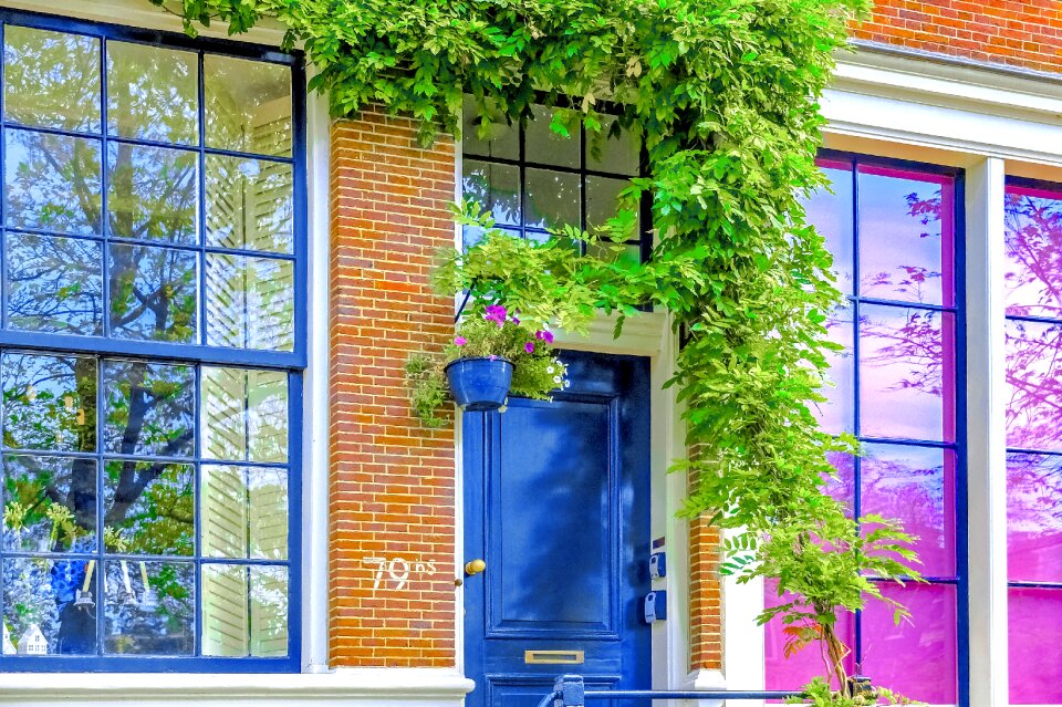 Brick wall blue door plant