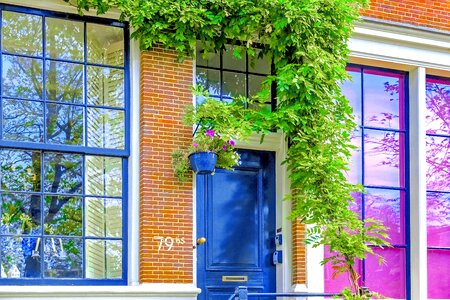 Brick wall blue door plant