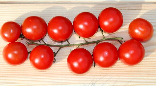Sprig red cherry tomatoes