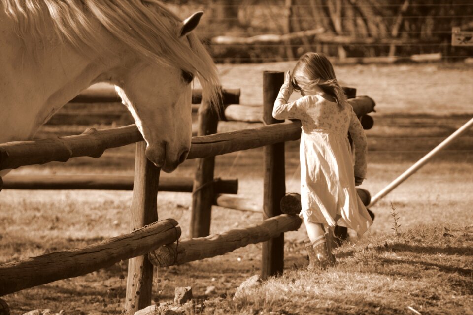 Girl equestrian equine