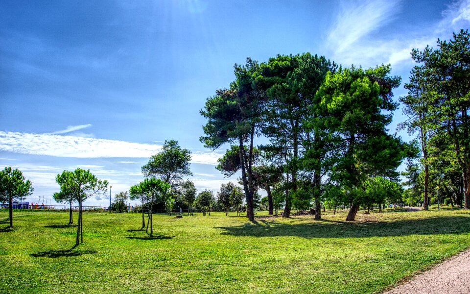 Blue sun landscape
