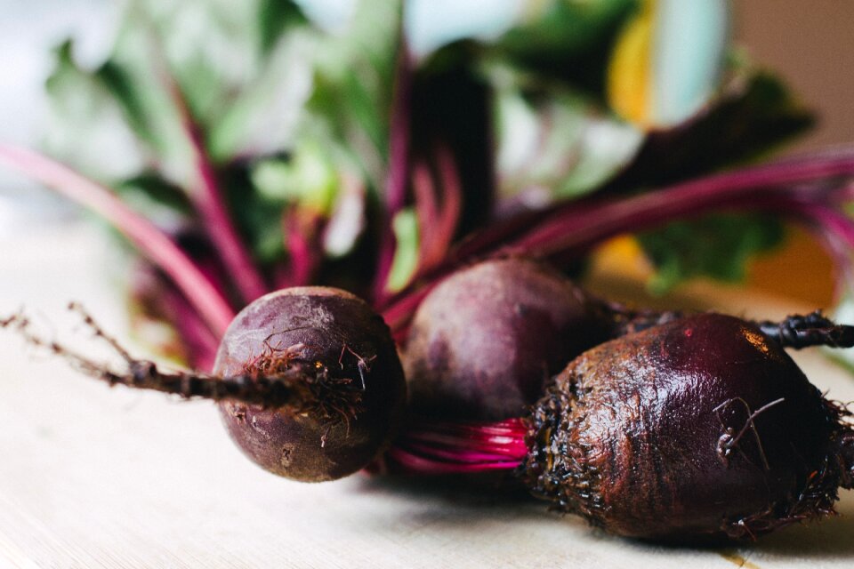 Onion crops green