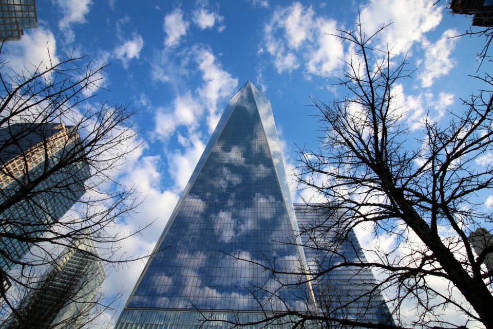 Skyscraper gull america
