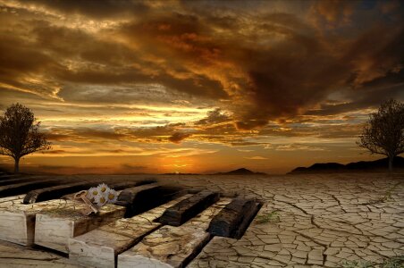 Panoramic outdoors fantasia