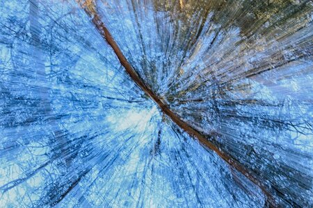 Abstract pattern outdoors
