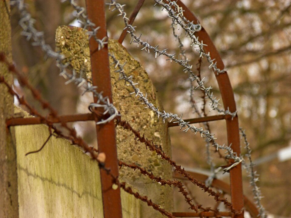 At the court of winter wire