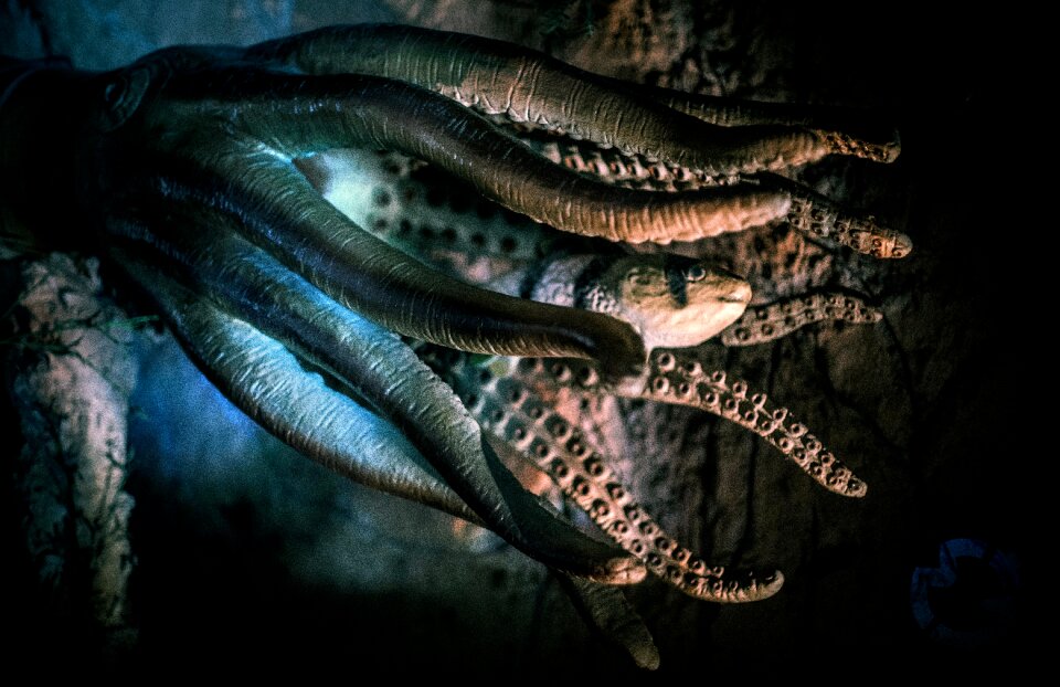 Monster eat mystical