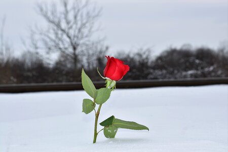Remembering all victims of suicide on rail memories