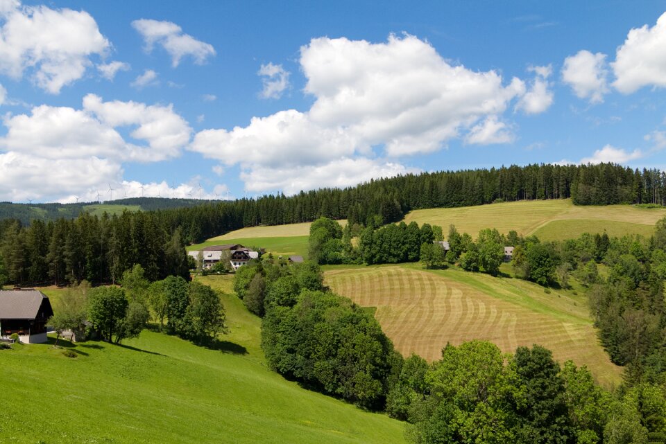 Austria meadow clouds