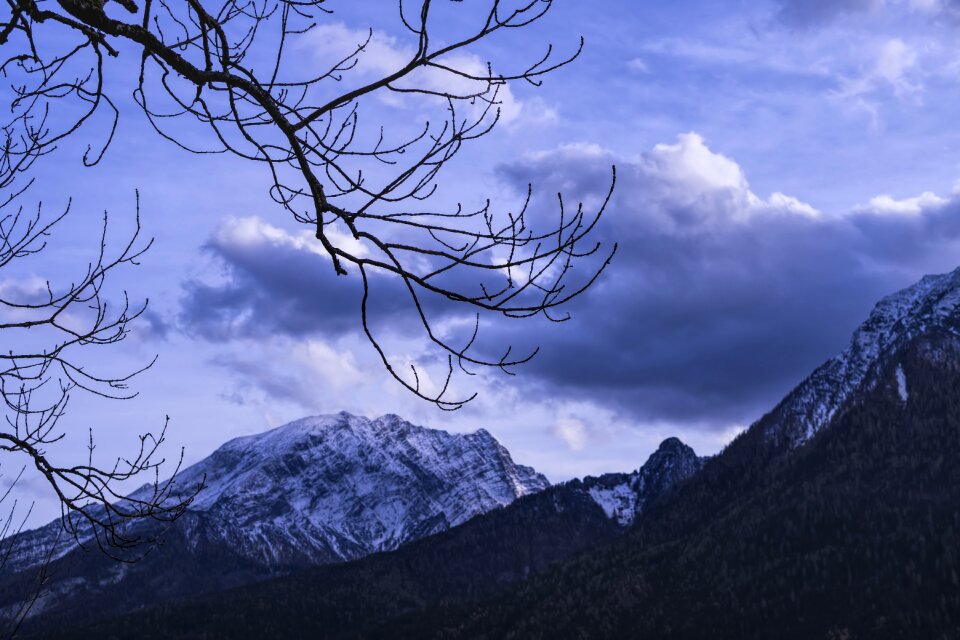 Mood sunset branch