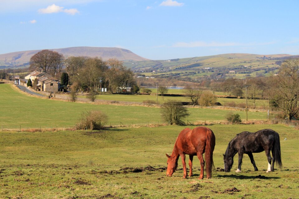 Lancashire colne castle road