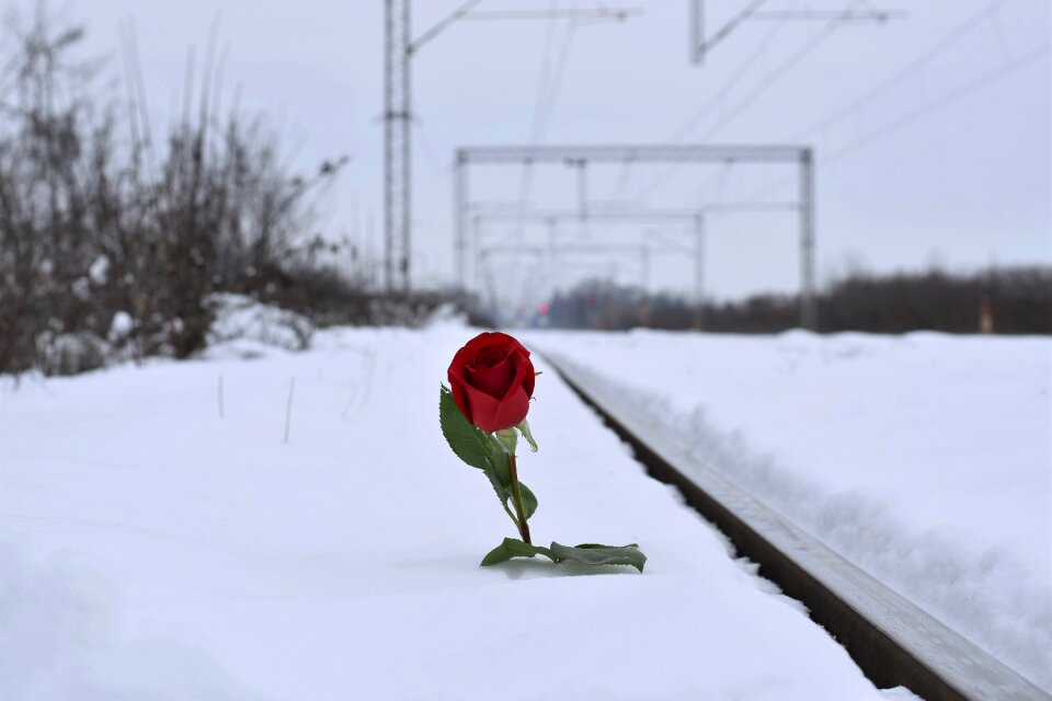 Lost love love conquers all remembering all victims