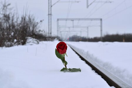 Lost love love conquers all remembering all victims