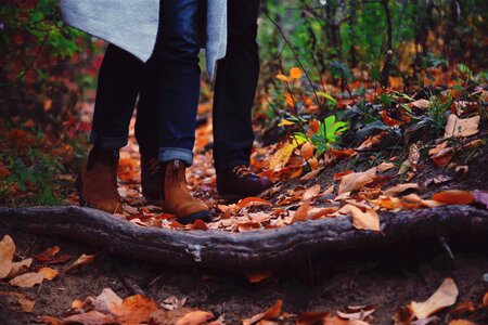 Mountaineer mountain leaves