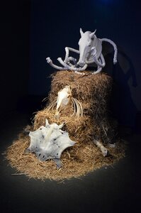 Horse head mold still life