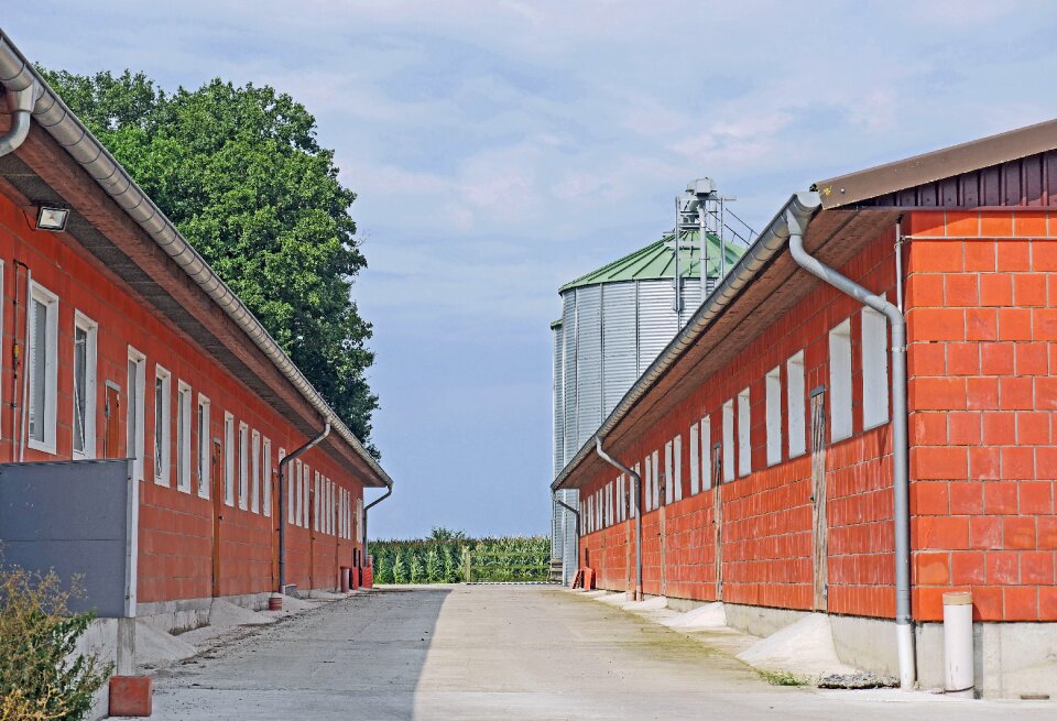 Feed silo corn cultivation factory farming