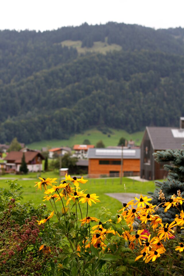 Scenic nature landscapes