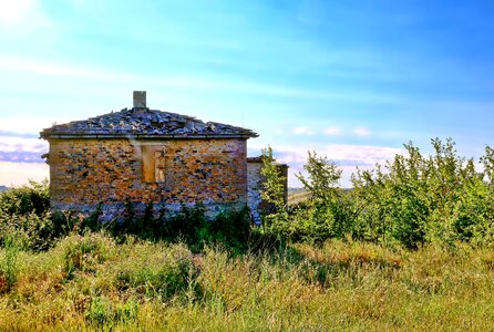 Dilapidated nature grass