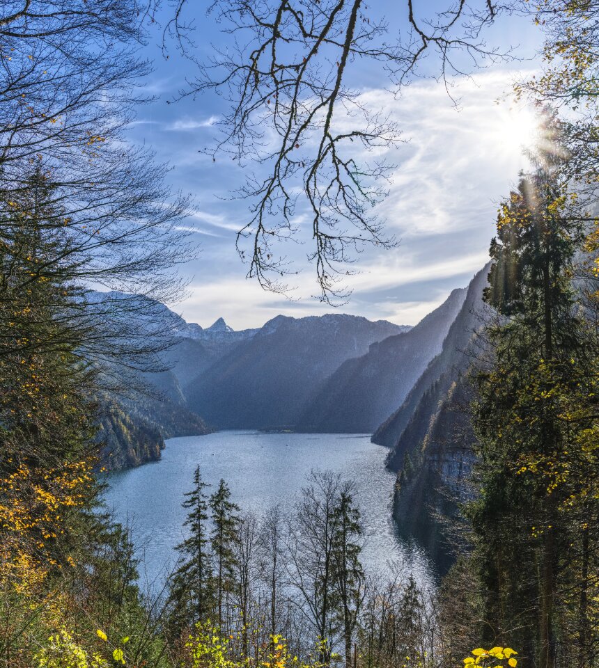 Water bavaria trees