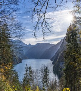 Water bavaria trees