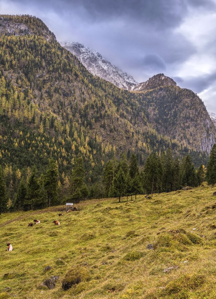 Alpine bavaria mountains