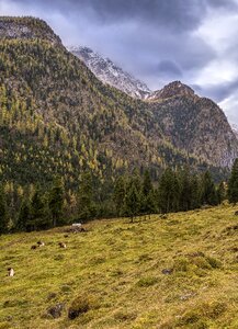 Alpine bavaria mountains photo