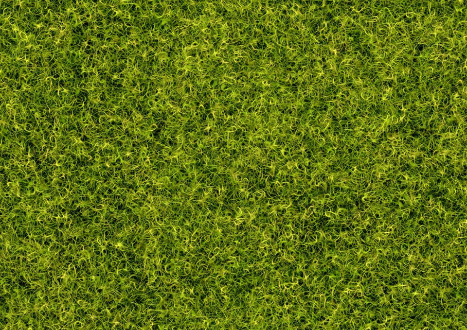 Pattern structure meadow