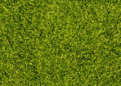 Pattern structure meadow
