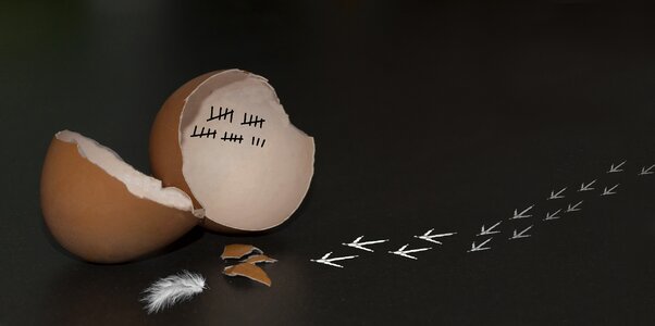 Creativity simplicity egg