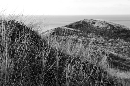Landscape nature coast