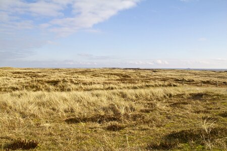 Landscape nature coast